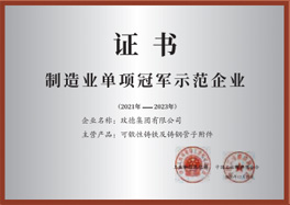 制造業(yè)單項(xiàng)冠軍示范企業(yè)